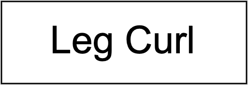 Leg Curl