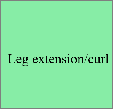 Leg extension