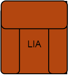 LIA