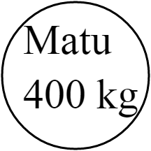 Matu 400