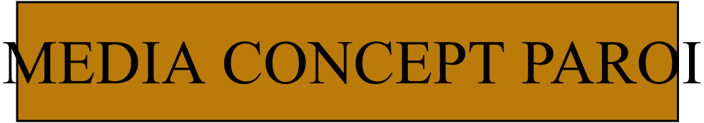 MEDIA CONCEPT