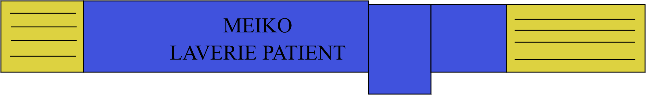 MEIKO Laverie patient