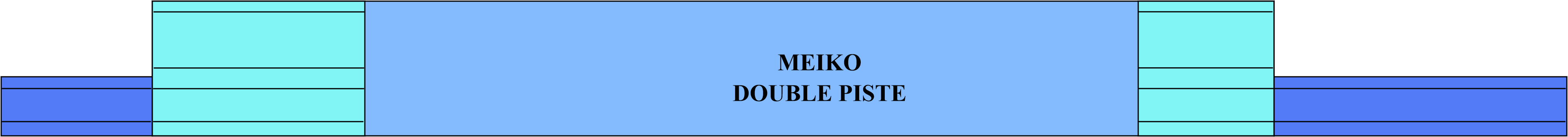 MEIKO Plonge PATIENT