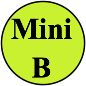 Mini B