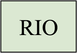 MODULE RIO
