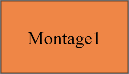 Montage1