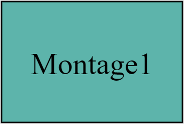 Montage1