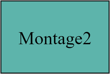 Montage2