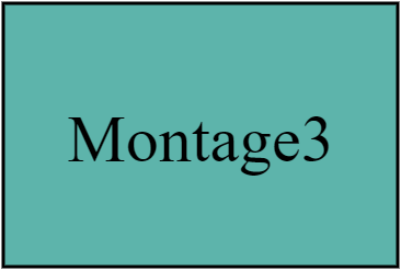 Montage3