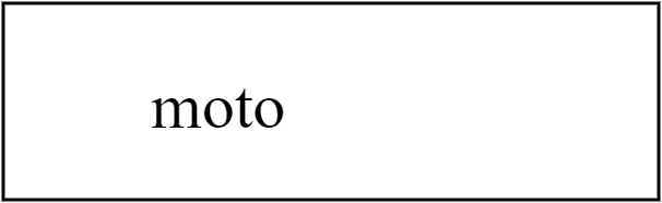 Motocicleta