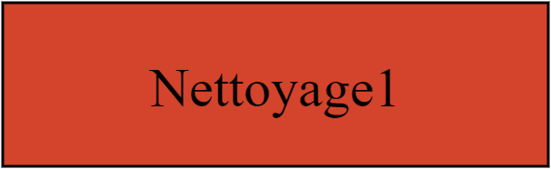 Nettoyage1