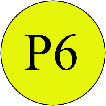 P6