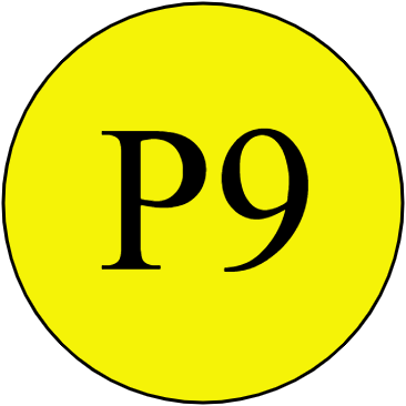 P9