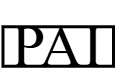 PAI STANDARD
