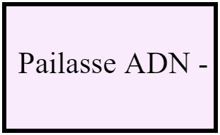 pailasse ADN-