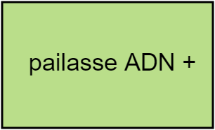 pailasse ADN +