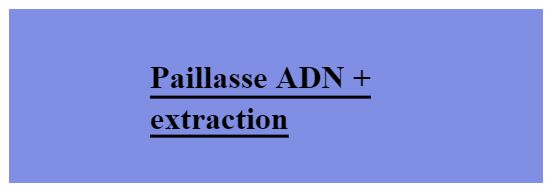 pailasse extraction
