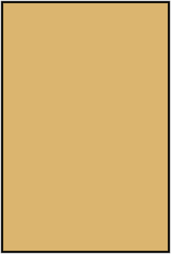Palette standard 80x120