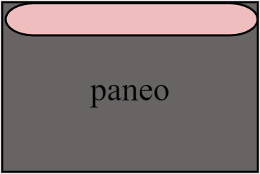 panéo