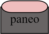 panéo