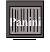 Panini