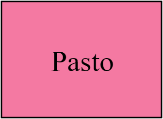Pasto