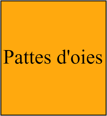 Pattes d'oie