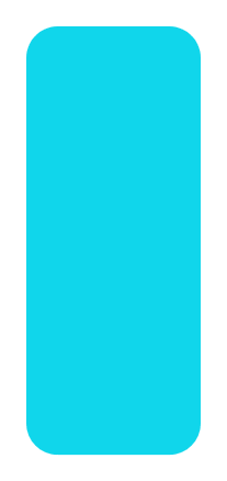 Pisciine ovale bord blanc