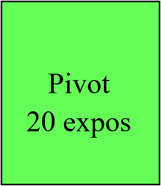 Pivot 20 expos