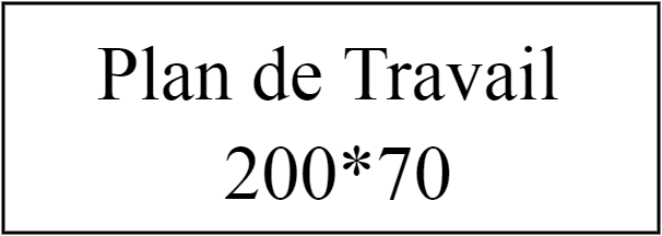 PLAN TRAVAIL