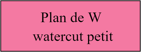 Plan de W  watercut petit