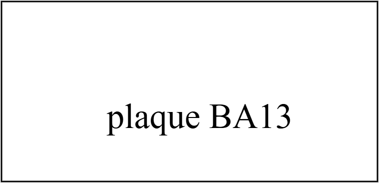PLAQUE BA13 250X120