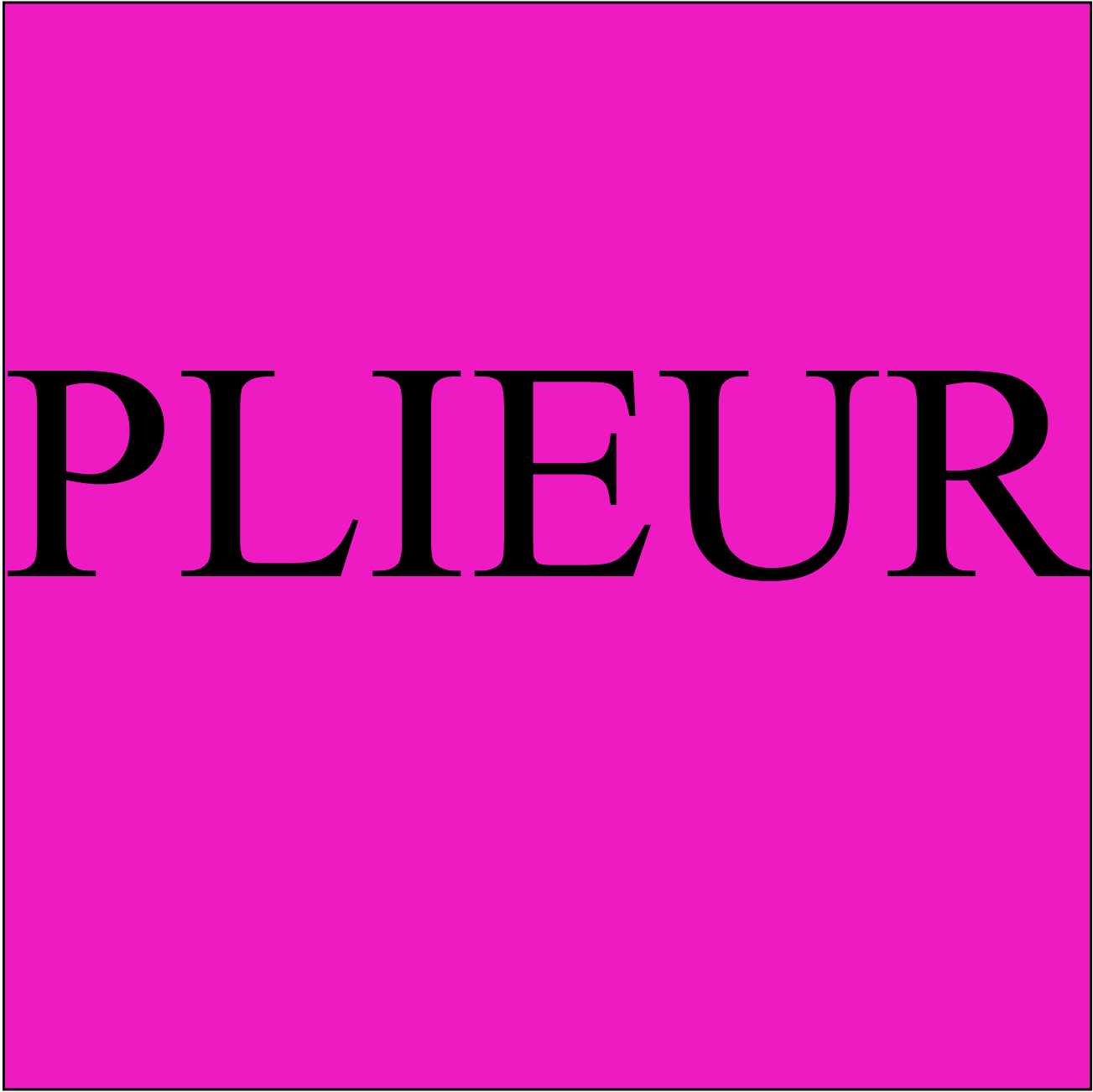 PLIEUR