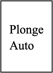 Plonge Auto