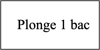 Plonge 1 bac