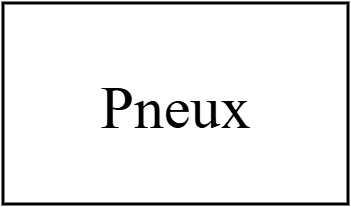 Pneux