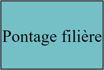 Pontage filière