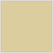 Portlandia Ivory Mat 60x60