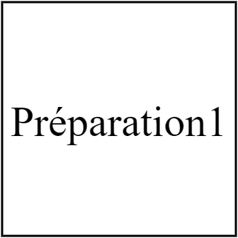 Préparation1