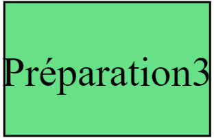 Préparation3