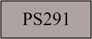 PS291