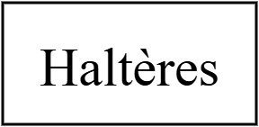 Rack haltères