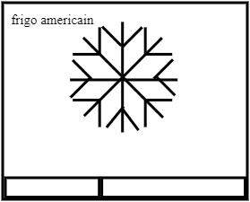 Refrigerateur americain