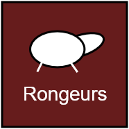 Rongeurs