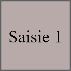 Saisie 1