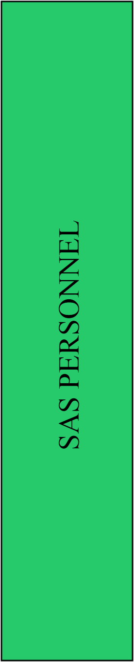 SAS PERSONNEL