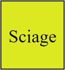 Sciage