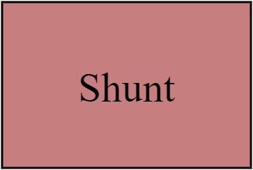 Shunt