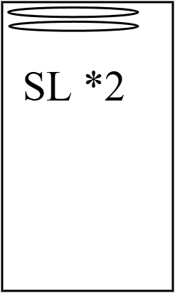 sl*2