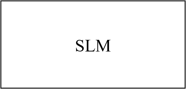 slm